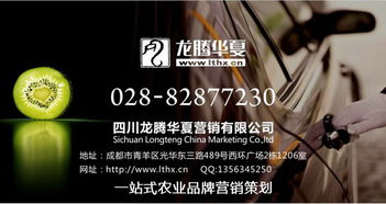 巴中画册设计公司的市场营销创新之路